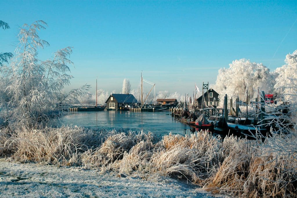 Persbericht: Genieten van de winter in de Biesboschlinie