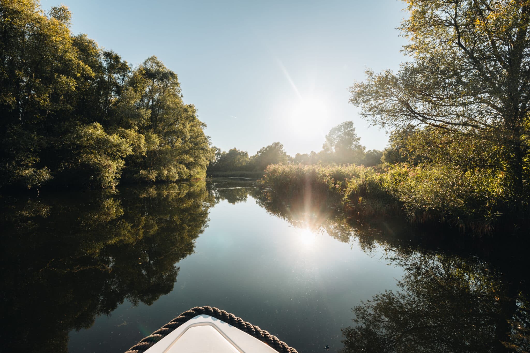 Vakantie in de Biesbosch